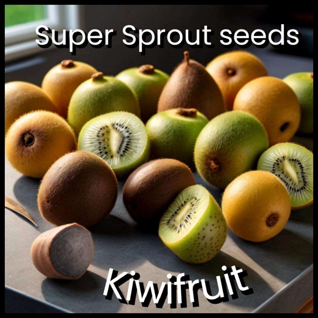 Kiwi fruit tree seeds (Actinidia chinensis) seeds x 25 seeds