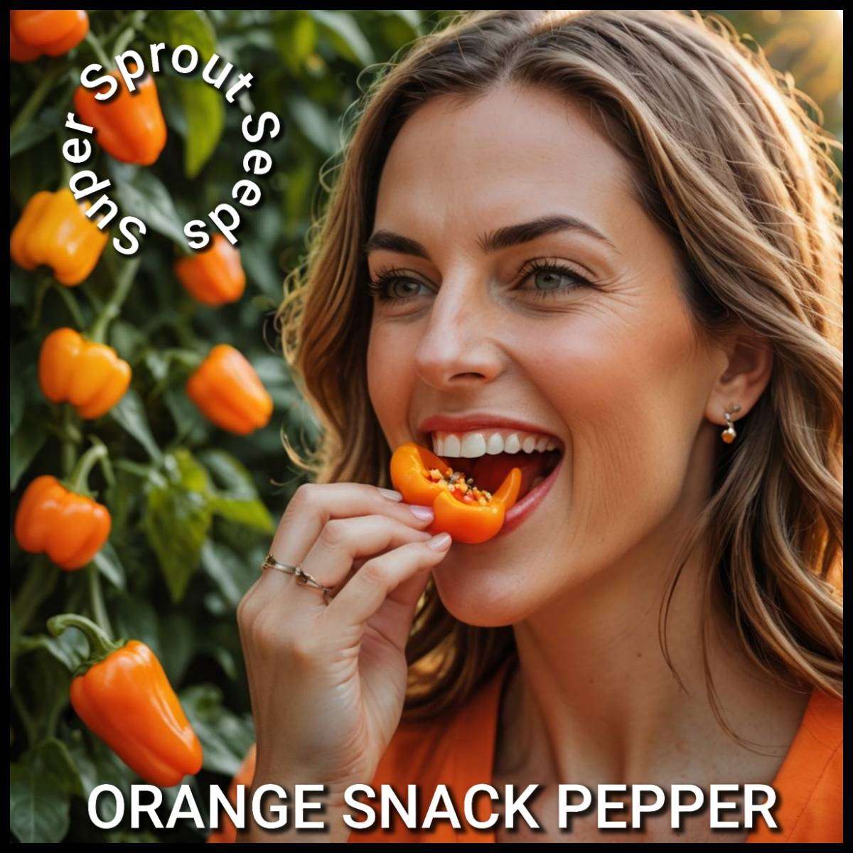 ORANGE SNACK PEPPER x 10+ organic seeds