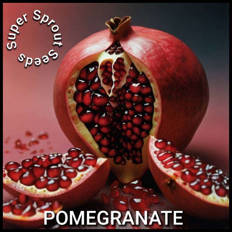 Pomegranate fruit x 10 seeds