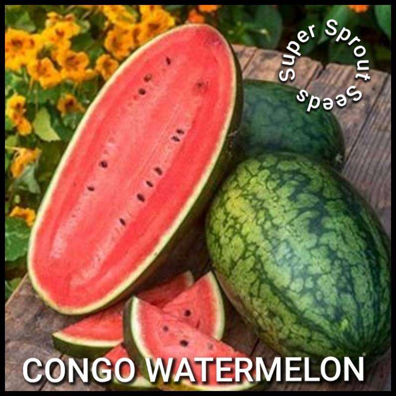 CONGO WATERMELON  x 10 seeds