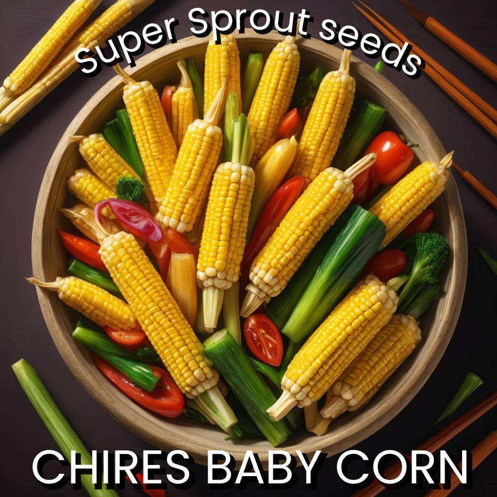 CHIRES BABY CORN x 25 organic seeds