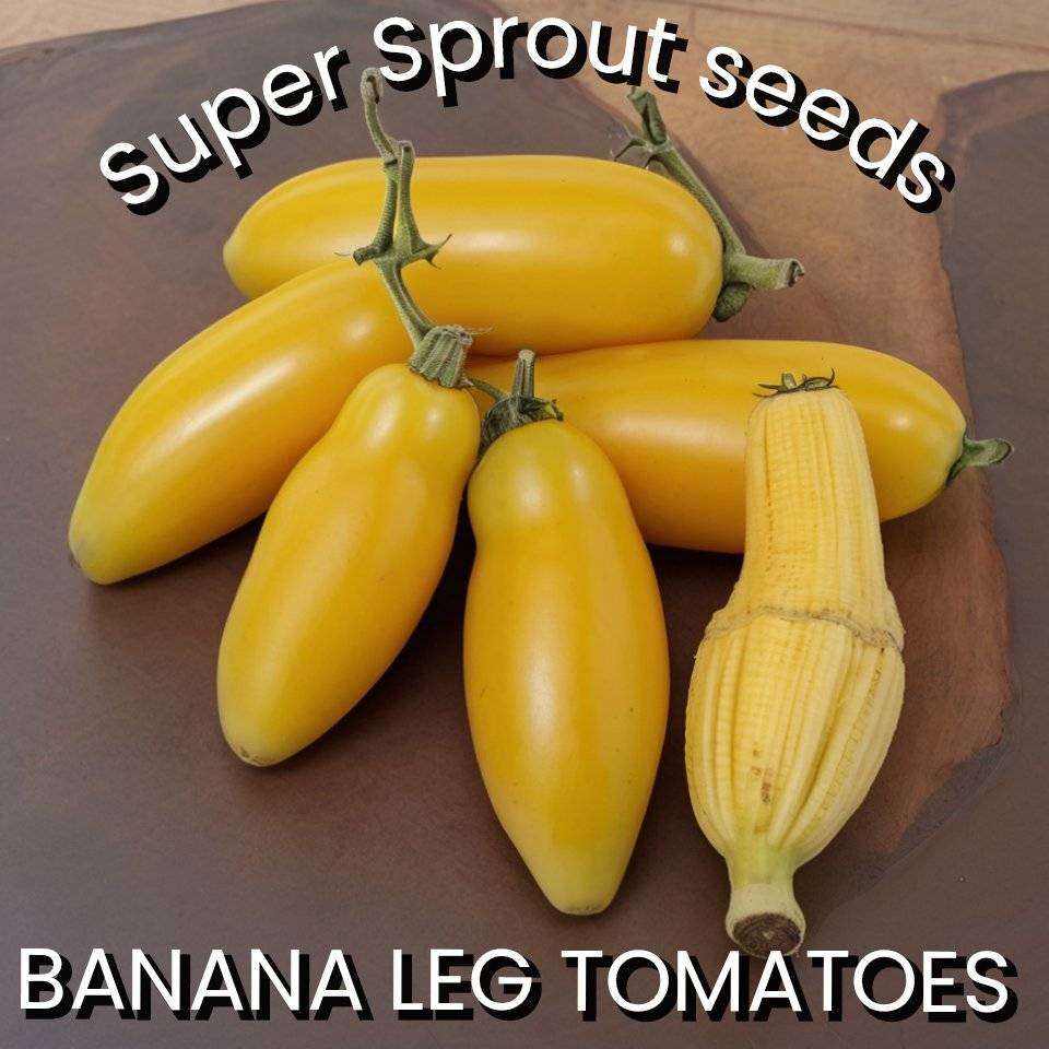 TOMATO BANANA LEGS x 15+ organic seeds