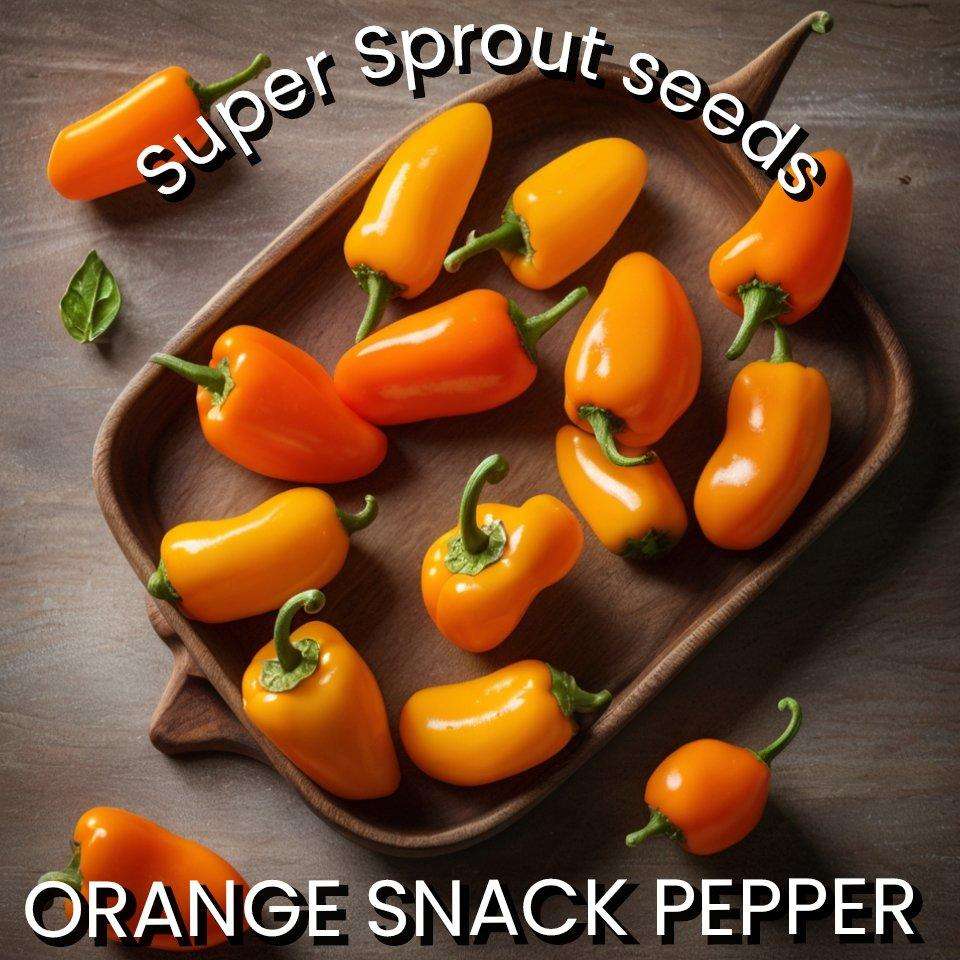 ORANGE SNACK PEPPER x 10+ organic seeds