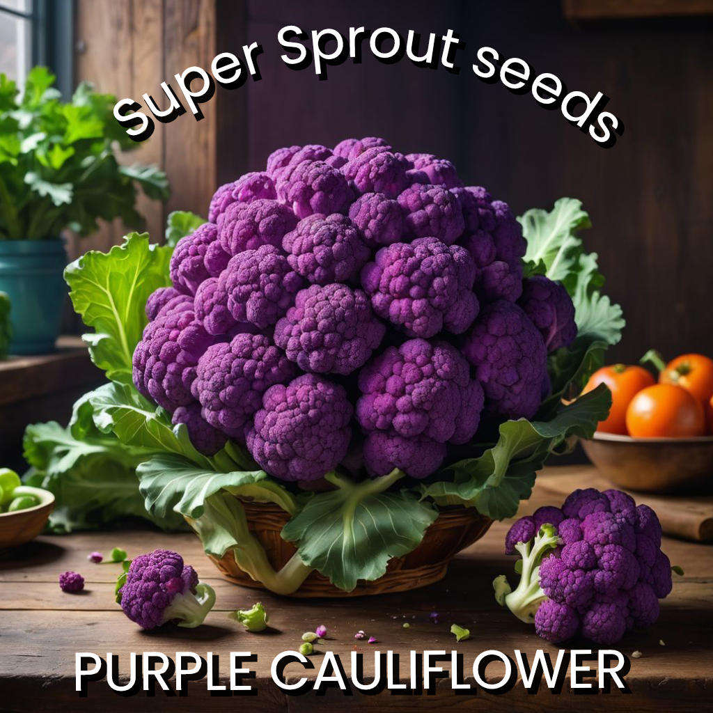 CAULIFLOWER-VIOLET SICILIAN x 15 seeds