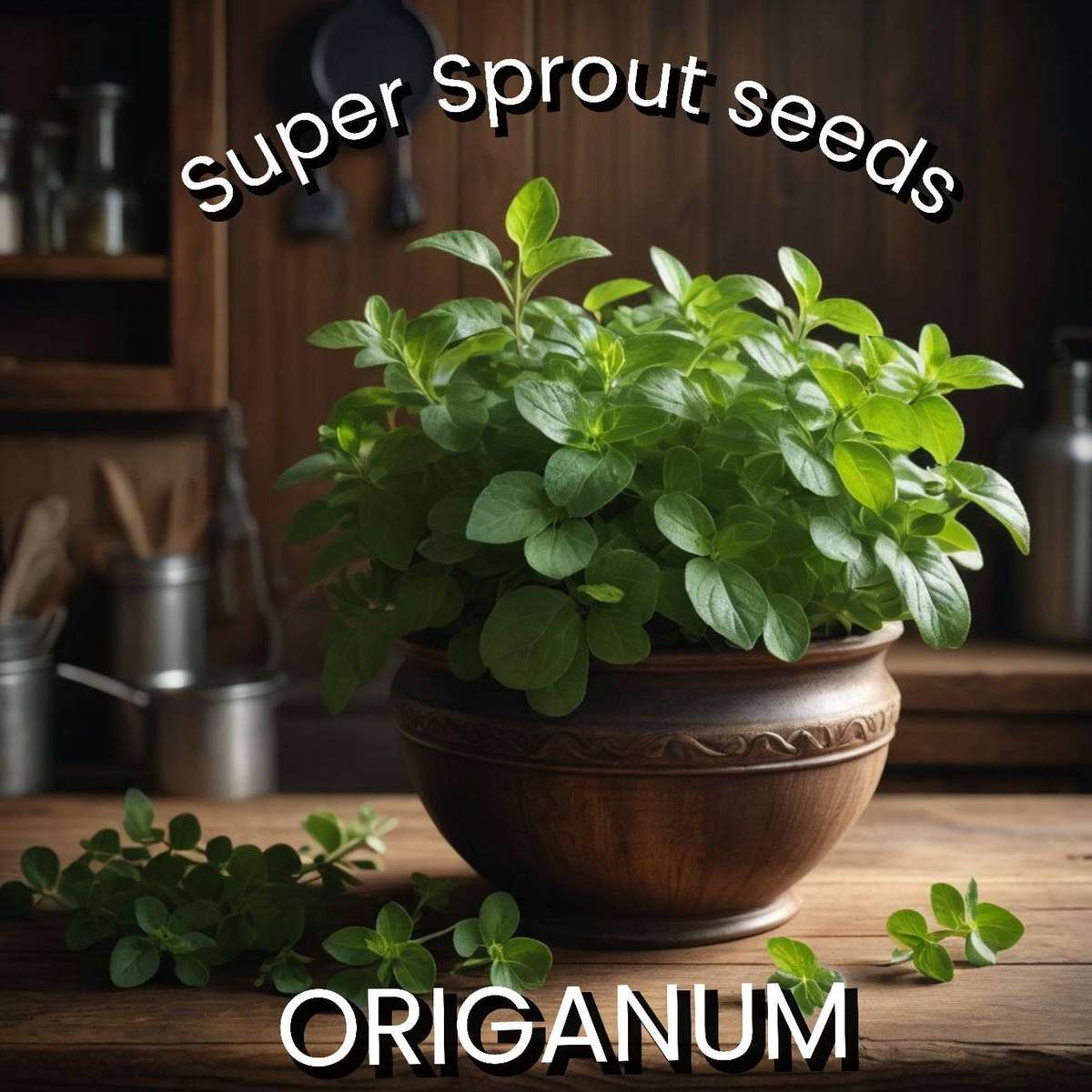 Origanum x 25 seeds
