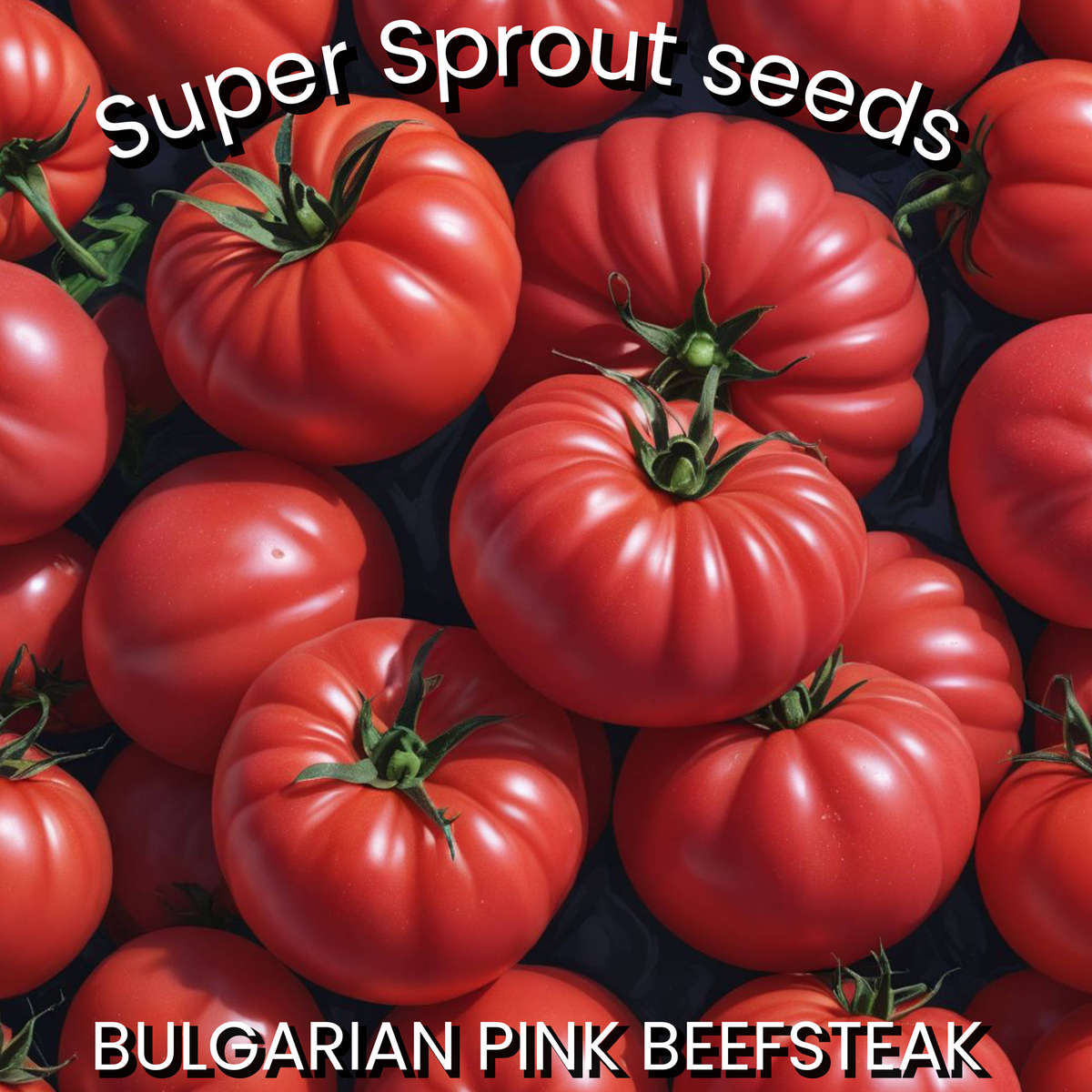 BULGARIAN PINK BEEFSTEAK TOMATO x 15+ seeds