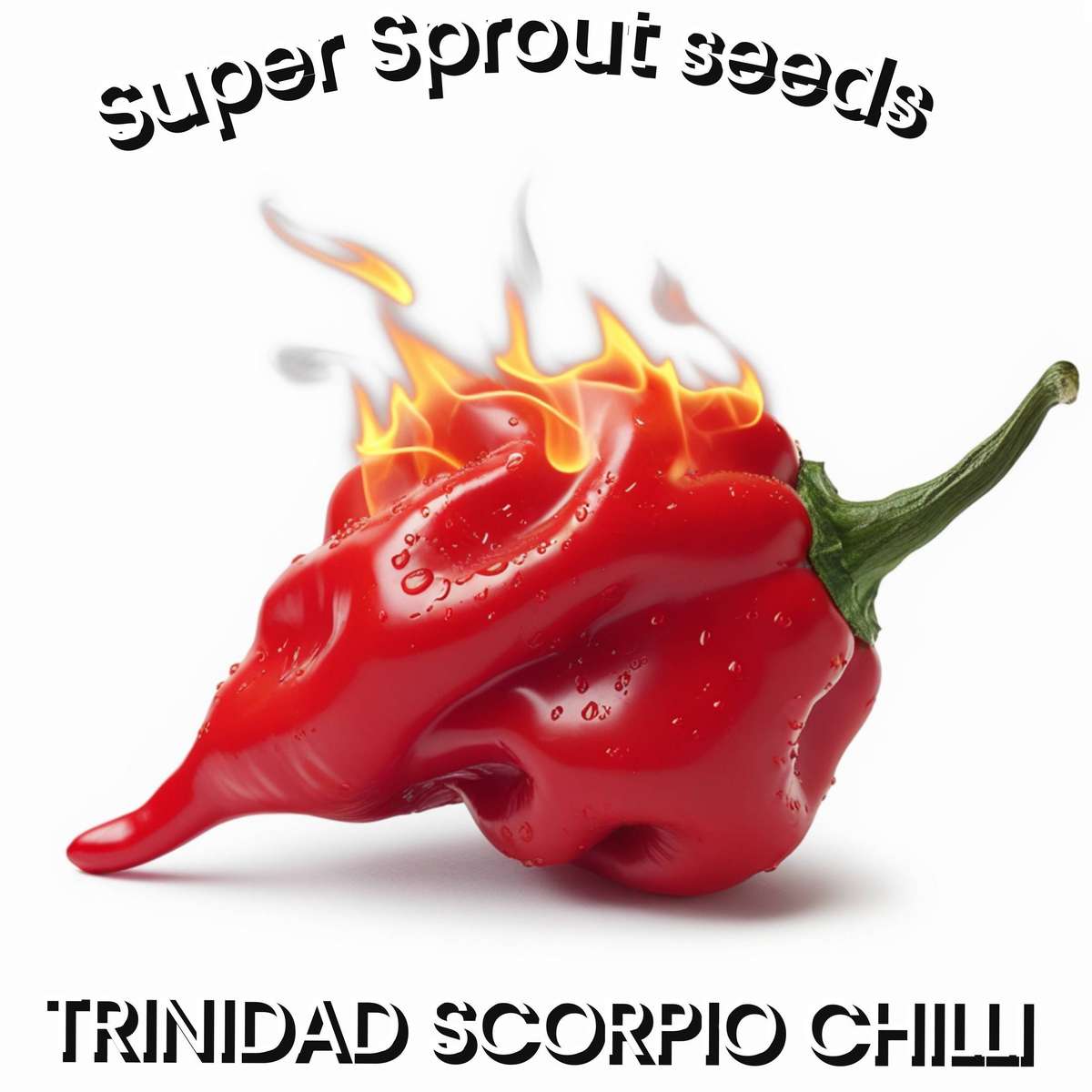 TRINIDAD SCORPIO CHILLI x 10 seeds