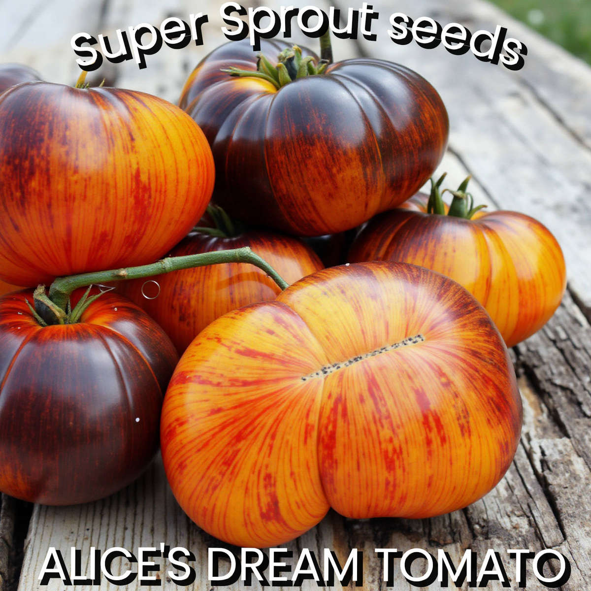 ALICE'S DREAM TOMATO SEEDS x 10 seeds