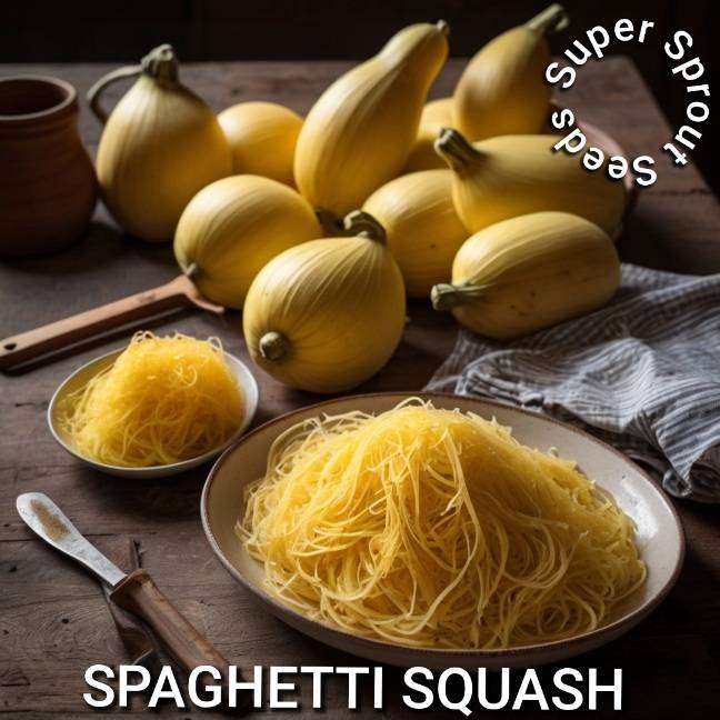 Spaghetti squash x 5 seeds