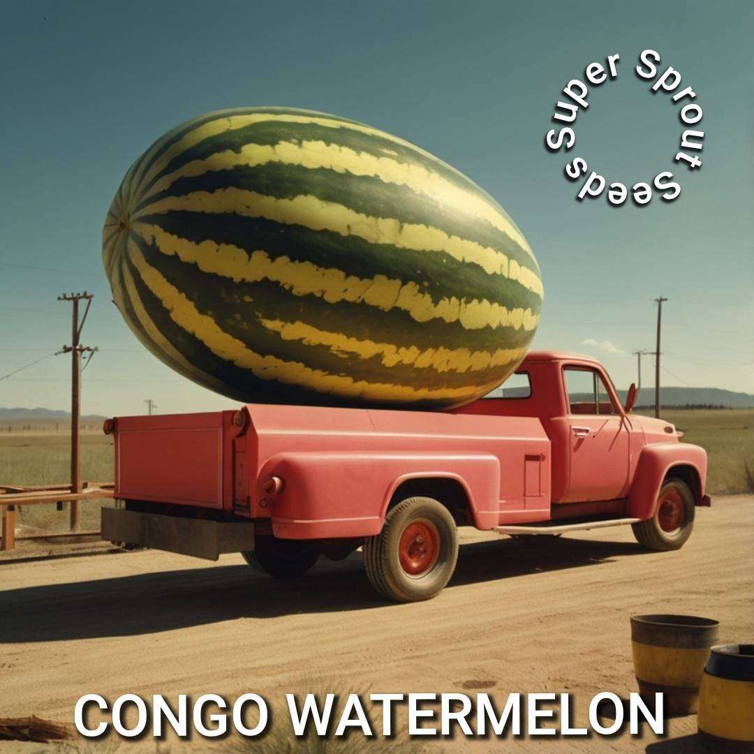 CONGO WATERMELON  x 10 seeds