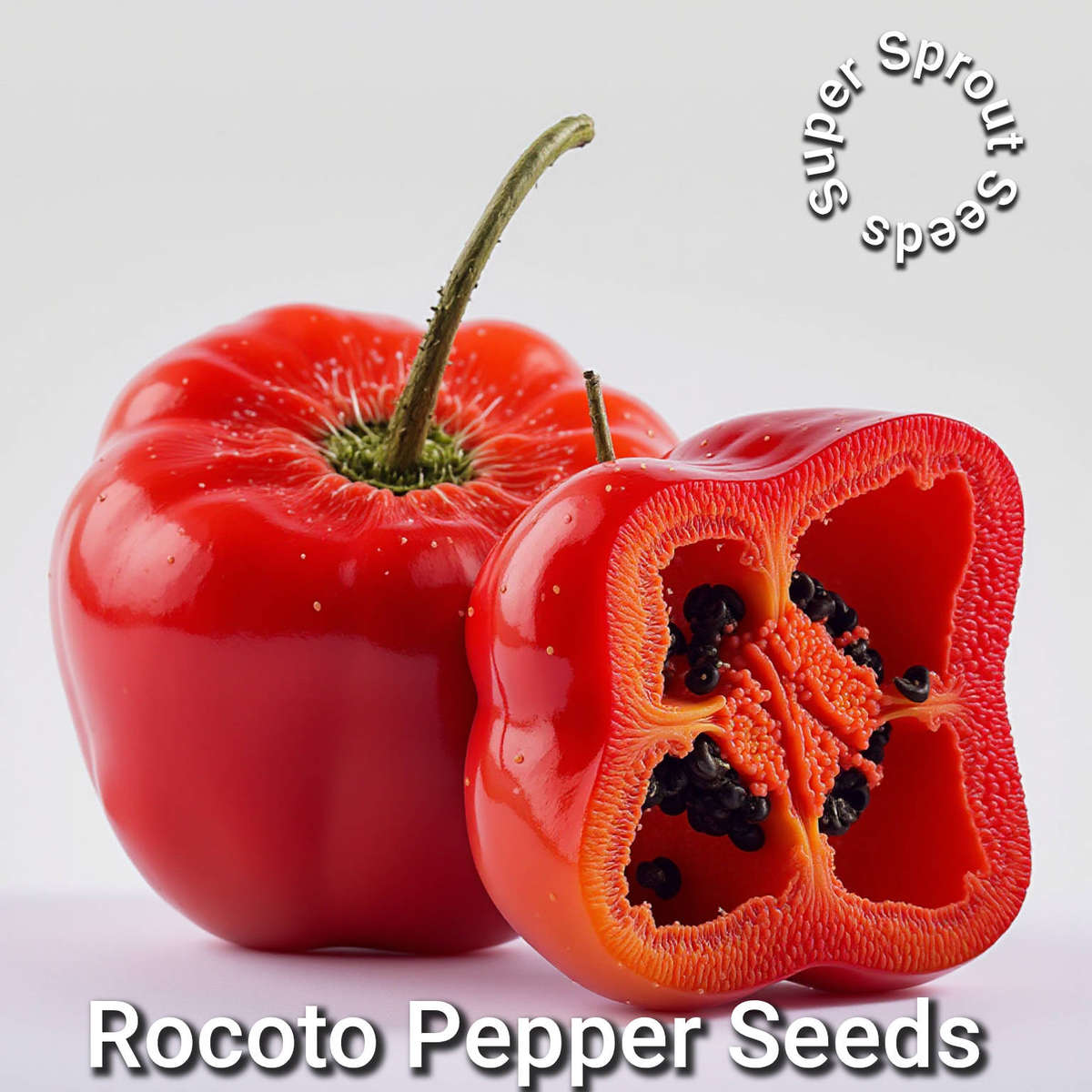 ROCOTO CHILLI  PEPPER x 10+ organic seeds