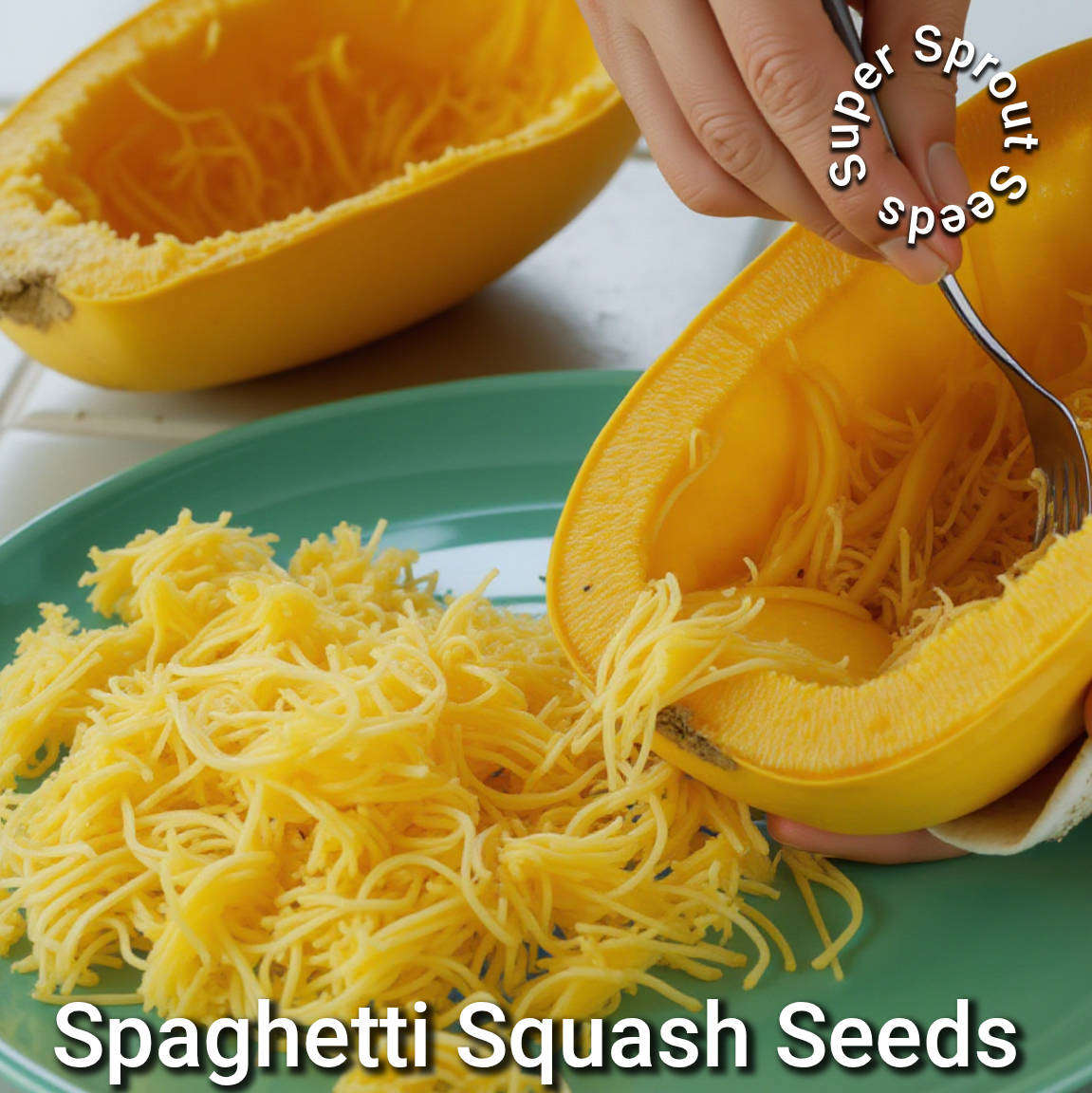 Spaghetti squash x 5 seeds