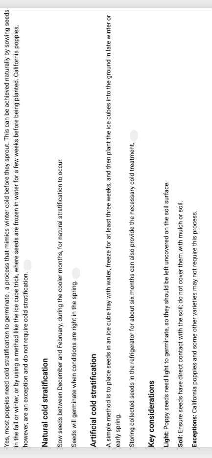 Imperial pink poppy flower x 100 seeds