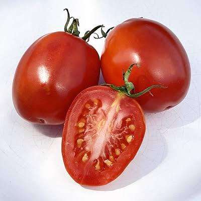 Medium Italian plum tomato x 10 seeds