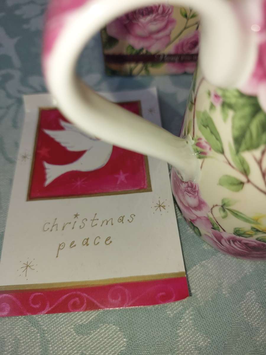 A VINTAGE MAXWEL & WILLIAMS FINE BONE CHINA PEONY MUG SOLD AS IS