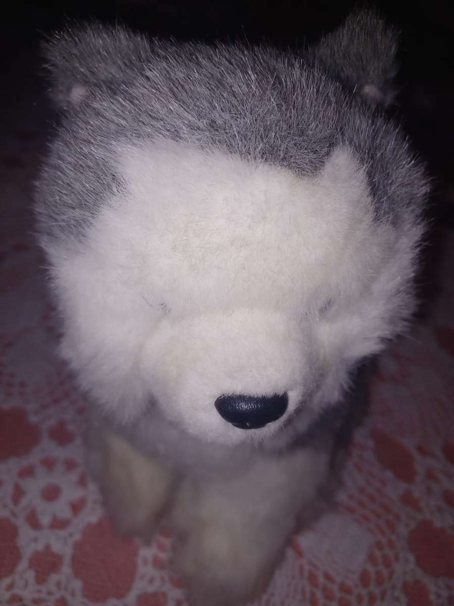 Stuffed Husky