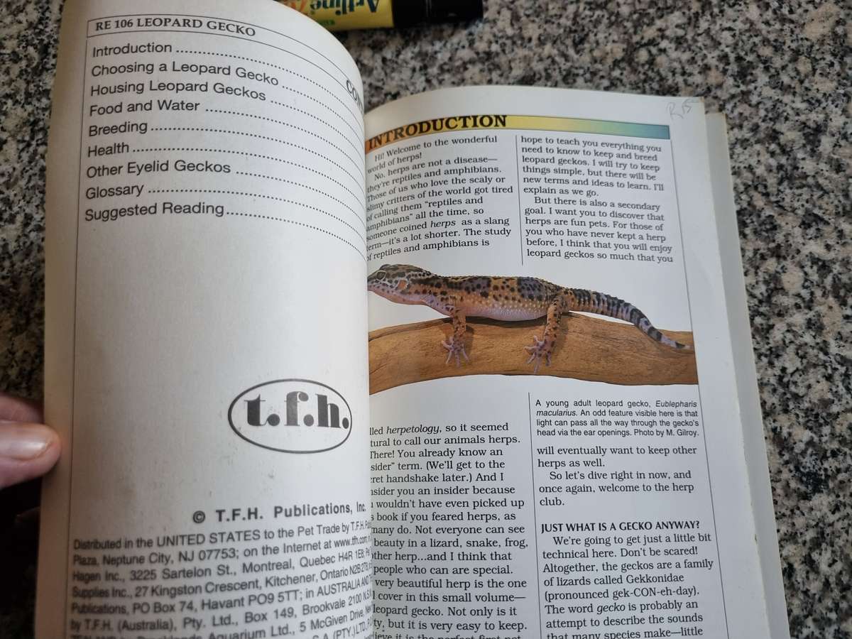 GUIDE TO OWNING A GECKO A LEOPARD GECKO RAY HUNZIKER