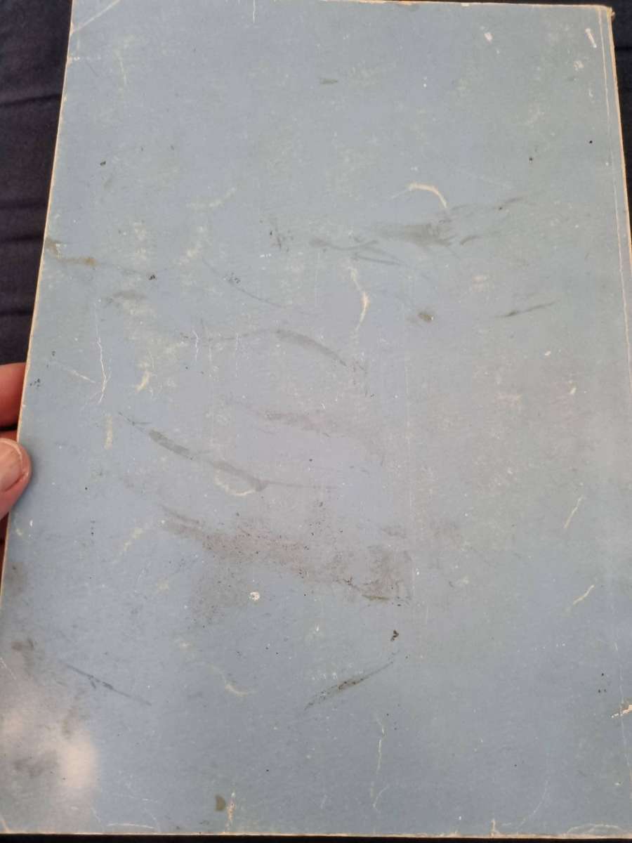 BEEKEEPING in SOUTH AFRICA by R H ANDERSON B BUYS and M F JOHANNSMEIER bees