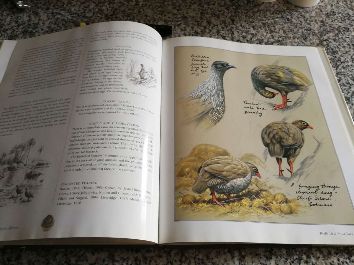 GAMEBIRDS OF SOUTHERN AFRICA ROB LITTLE TIM CROWE SIMON BARLOW ( Game birds  Wildfowl  )