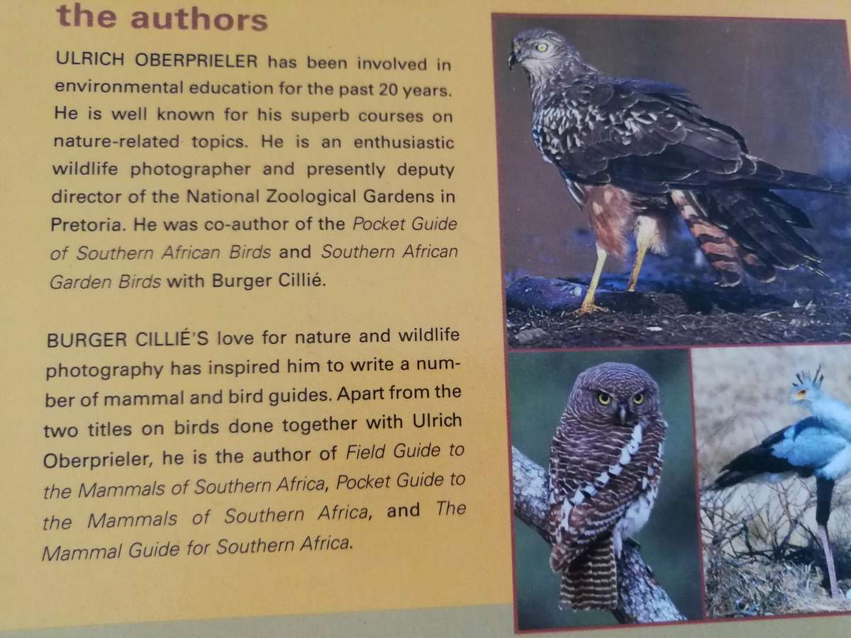 THE RAPTOR IDENTIFICATION GUIDE FOR SOUTHERN AFRICA ULRICH OBERPRIELER BURGER CILLIE Birds of Prey