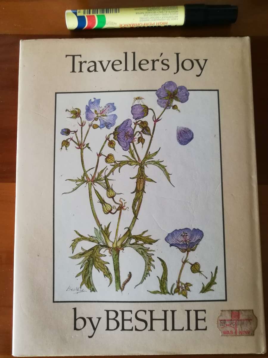 TRAVELLER'S JOY BY BESHLIE