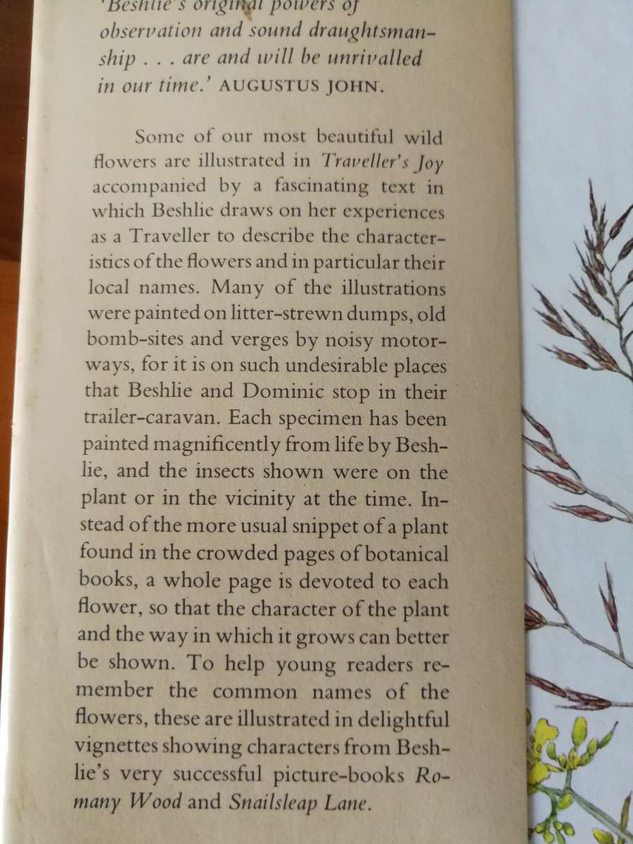 TRAVELLER'S JOY BY BESHLIE