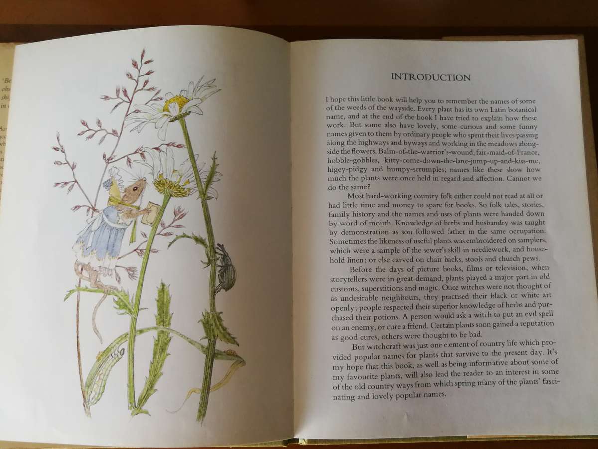 TRAVELLER'S JOY BY BESHLIE