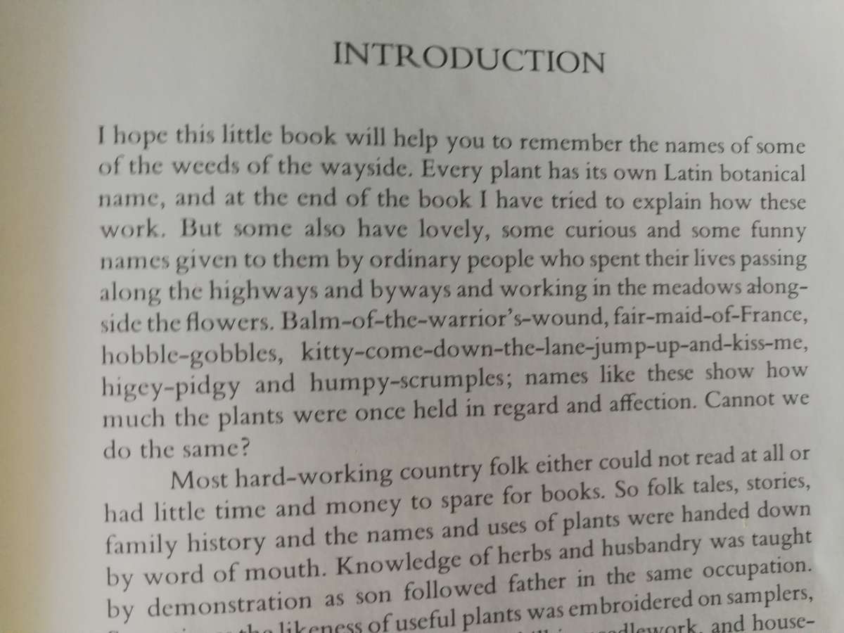 TRAVELLER'S JOY BY BESHLIE