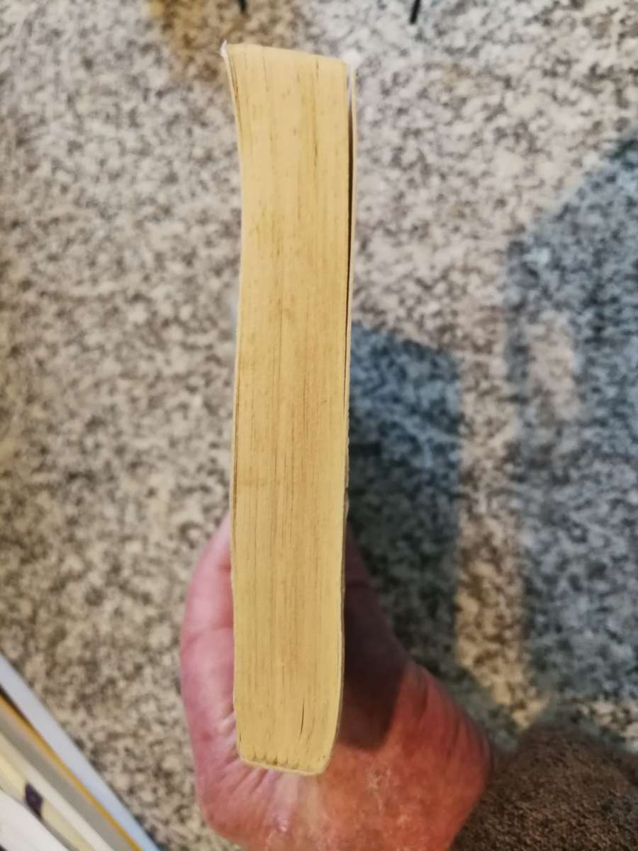 THE LOST BOYS OF BIRD ISLAND MARK MINNIE and CHRIS STEYN