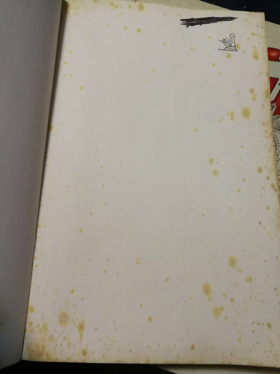 THE LOST BOYS OF BIRD ISLAND MARK MINNIE and CHRIS STEYN