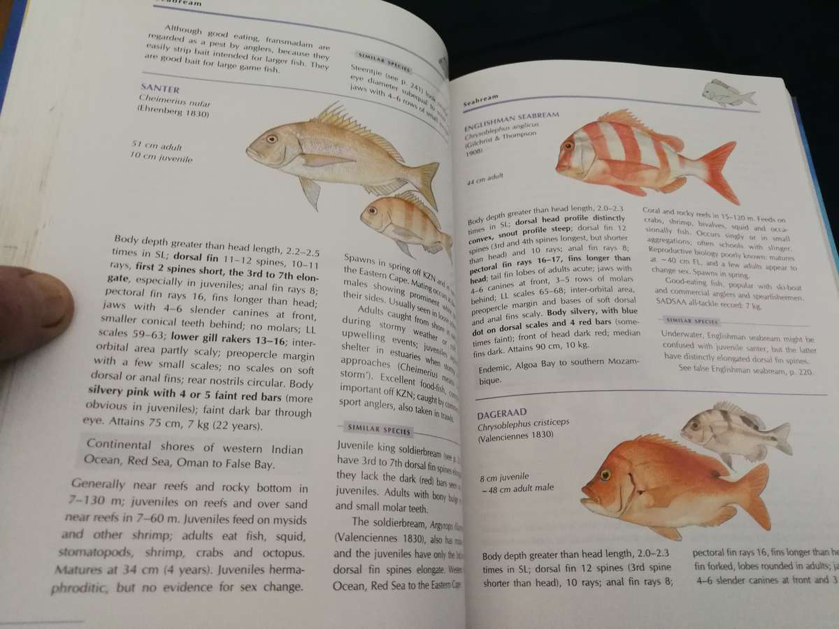 COASTAL FISHES OF SOUTHERN AFRICA PHIL and ELAINE HEEMSTRA  (Seawater Fish species marine  )