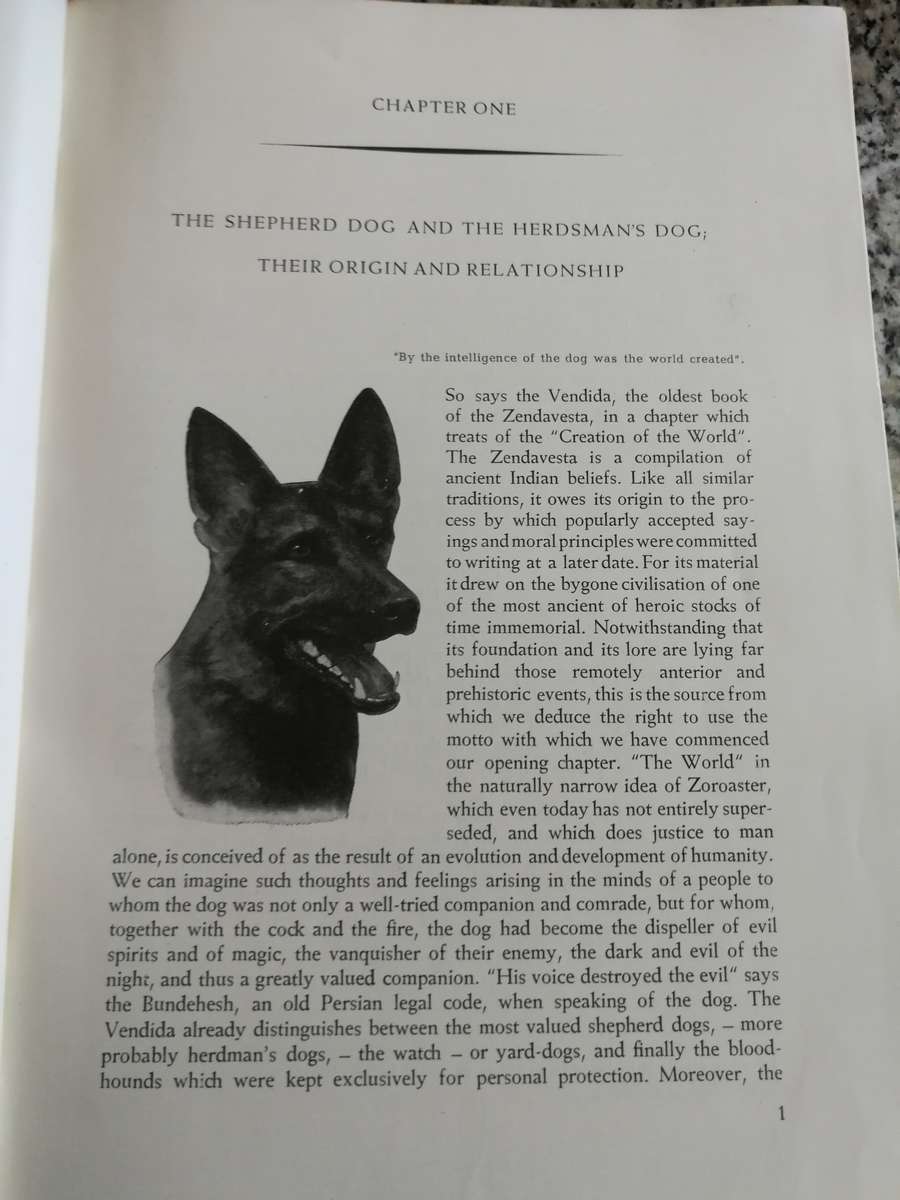 THE GERMAN SHEPERD DOG by Capt. v STEPHANITZ 8th Revised and Enlarged Edition