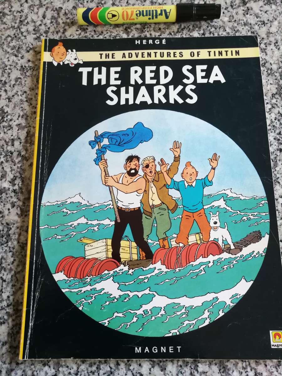 Bundle of 10 Tintin books