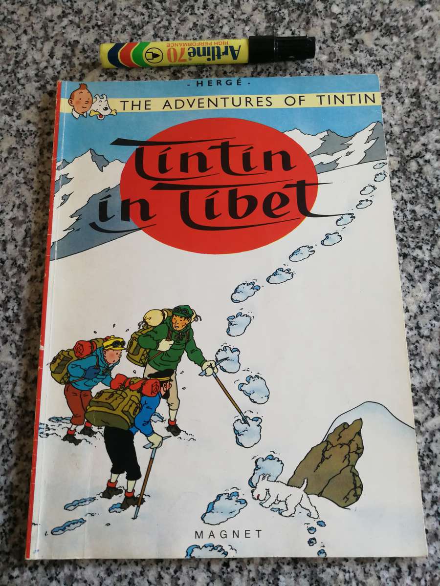 Bundle of 10 Tintin books