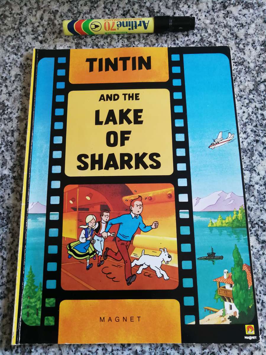 Bundle of 10 Tintin books