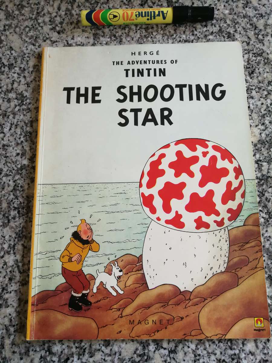 Bundle of 10 Tintin books