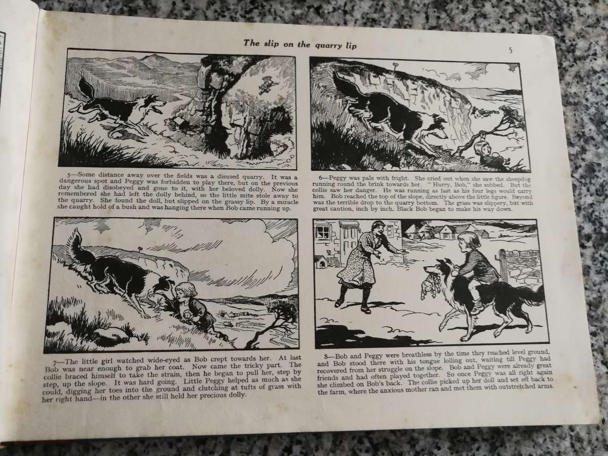 BLACK BOB THE DANDY WONDER DOG  published around 1950