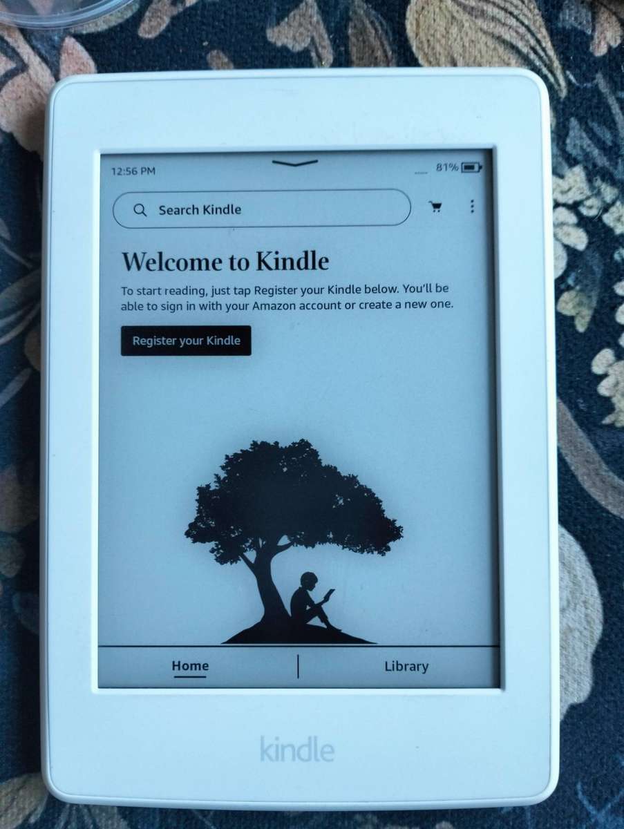 Amazon Kindle Paperwhite 7th Gen model G090  4GB