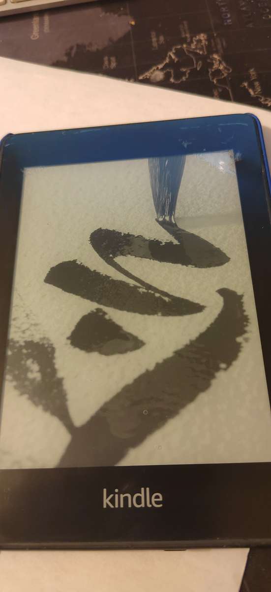 Amazon Kindle Paperwhite 6` Wi-Fi 8GB 10th Gen