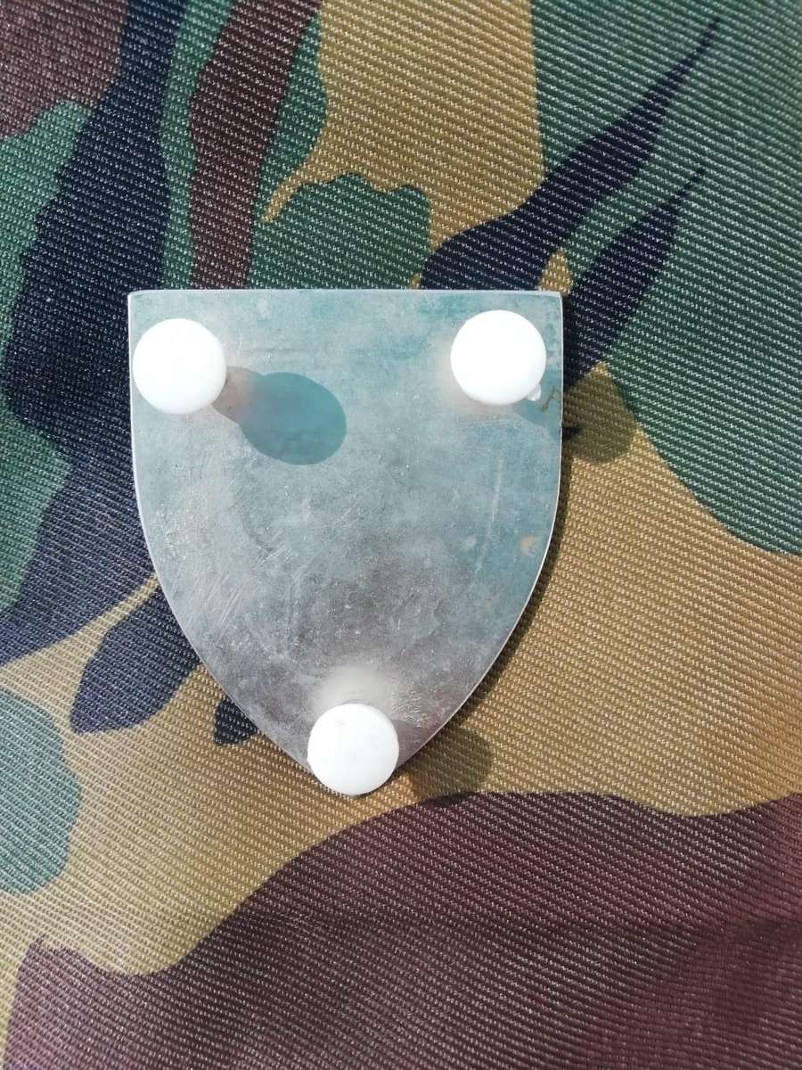 Regiment Algoa Bay Flash