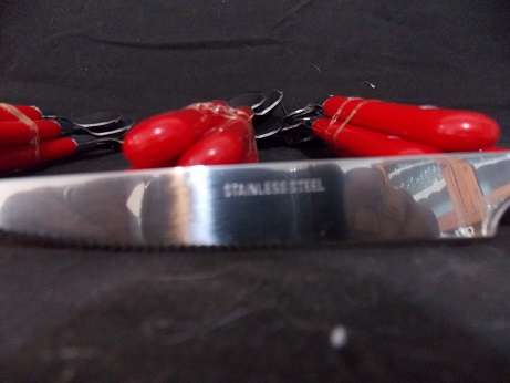 Set of Plastic and Stainless Steel Cutlery Set