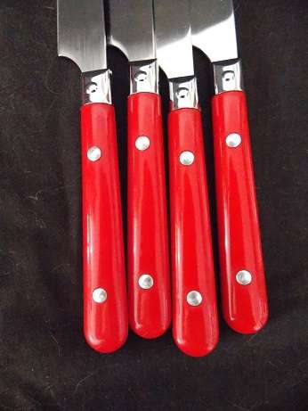 Set of Plastic and Stainless Steel Cutlery Set