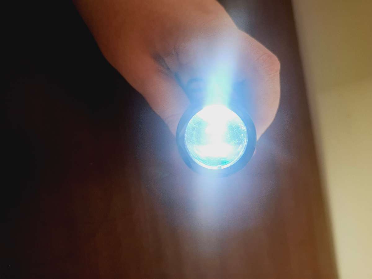 LED flashlight (batteries)