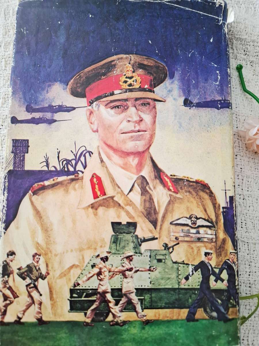 South Africa at War by HJ Martin & Neil Orpen