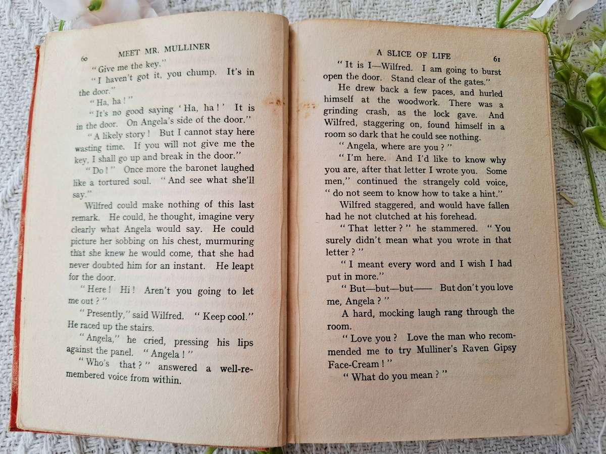 Meet Mr Mulliner by P.G. Wodehouse