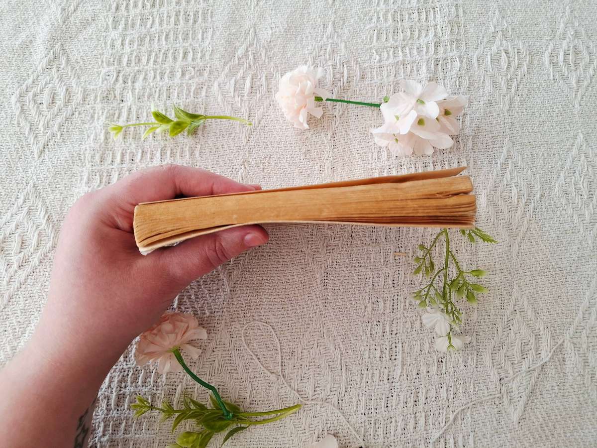 Death in Ecstasy by Ngaio Marsh