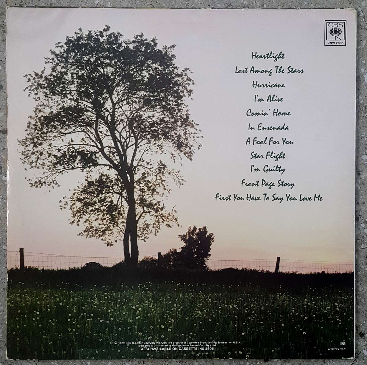 NEIL DIAMOND - HEARTLIGHT Vinyl, LP, Album Country: South Africa Released: 1982