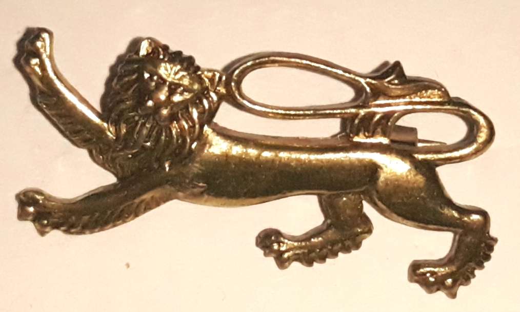 Vintage 1968 British Lions SA Rugby Tour Pin Badge