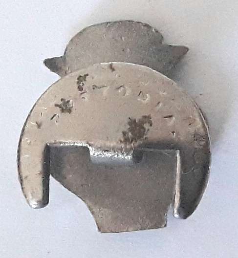 Vintage South African Automobile Association Lapel Badge