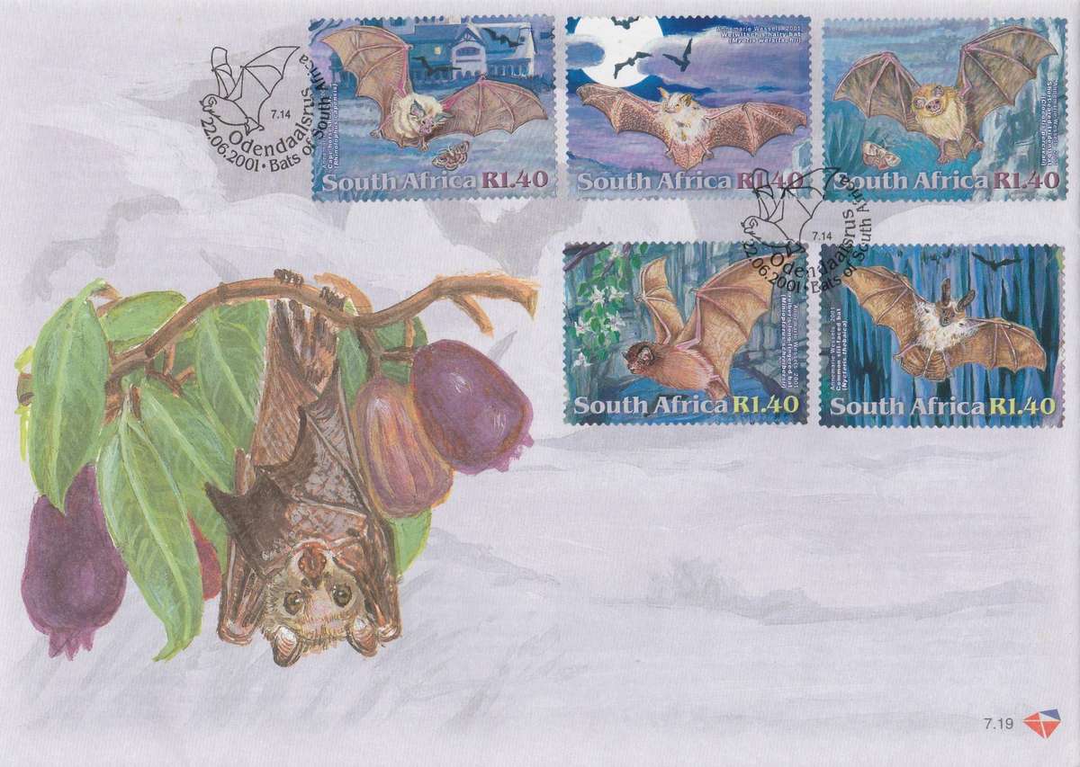 RSA    FDC  7.19    BATS OF SOUTH AFRICA